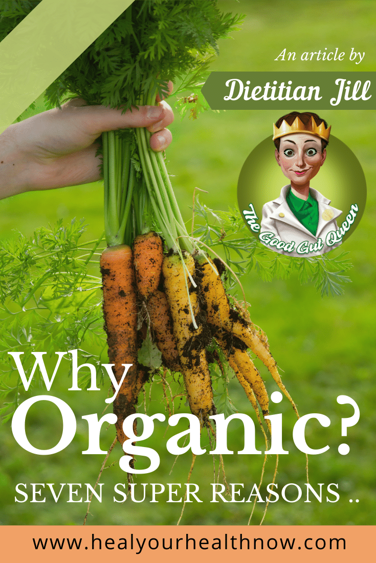 Go Organic!: A Good Gut Recipe